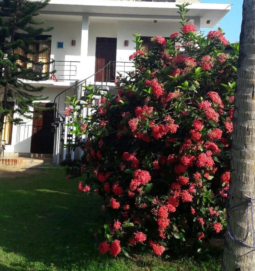 Dreamvillage Dodanduwa Luaran gambar
