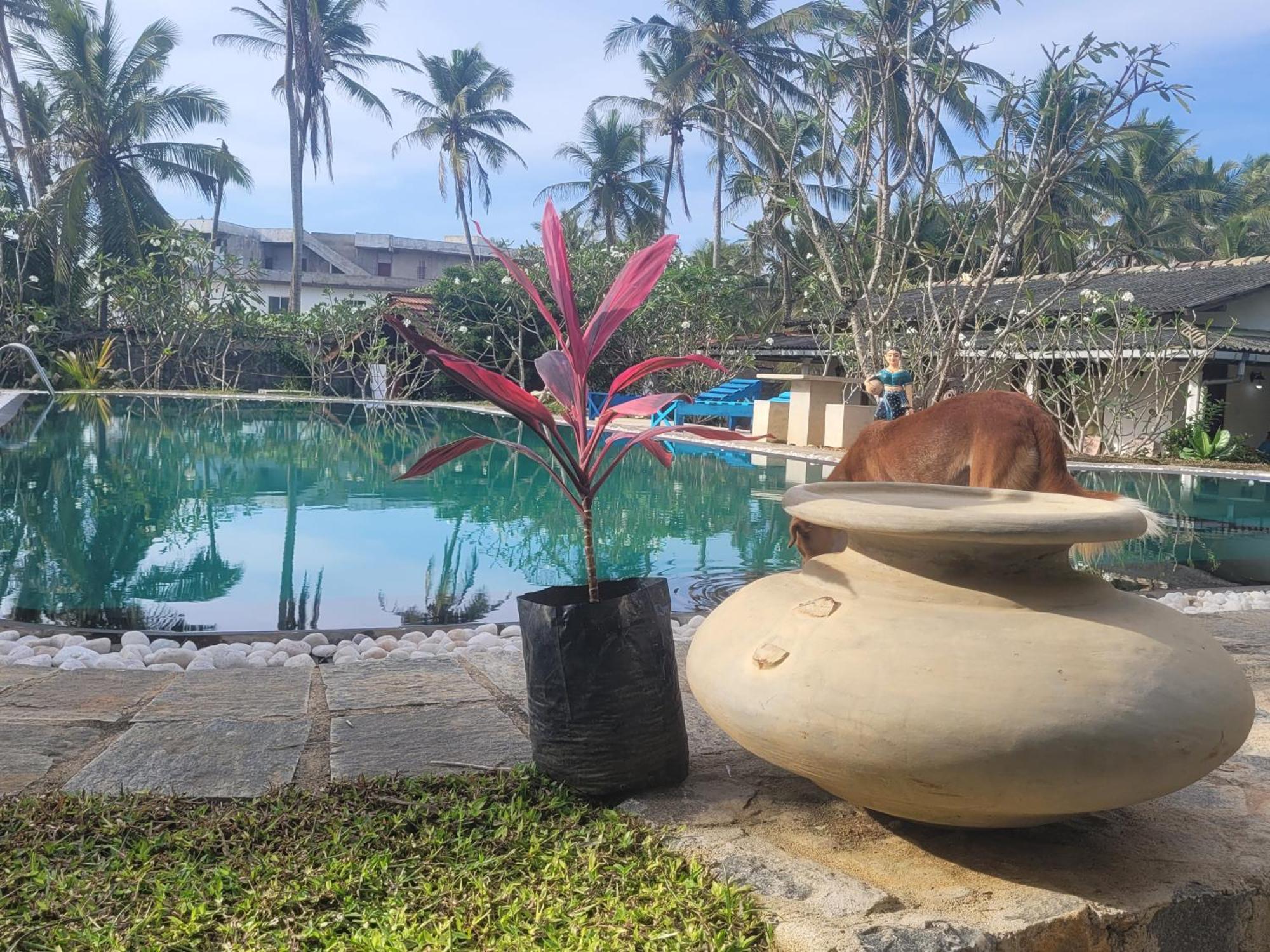 Dreamvillage Dodanduwa Luaran gambar